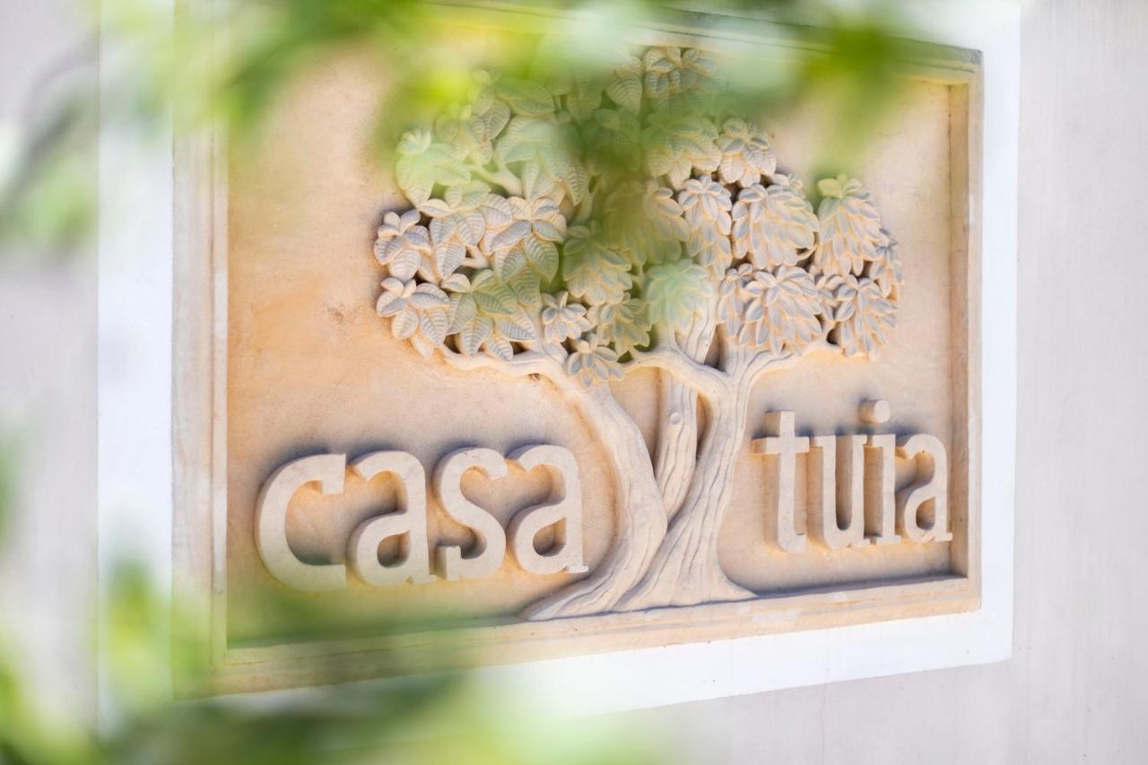 Casa Tuia Resort Καρβοέιρο Εξωτερικό φωτογραφία